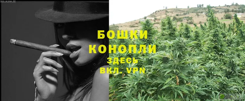 купить наркотики цена  Зверево  Шишки марихуана OG Kush 